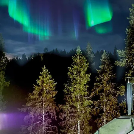 Holiday Ukkometso By Interhome Loma-asunnot Ruka